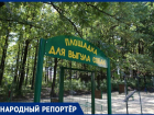 Негде гулять с собаками: ставропольцы сетуют об отсутствии площадок для выгула