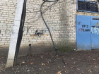 Оголенный электрический кабель в районе школы грозит ударить током жителей Ставрополя