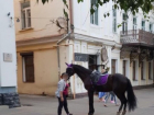 Штраф в 100 тысяч рублей получила предпринимательница за падение 5-летней девочки с лошади в Ставрополе 