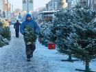 В Ставрополе с 15 декабря начнут работать елочные базары