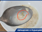 Кашу с гусеницей нашли в лицее в Ставрополе — школа отрицает
