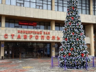 Новогодние елки массово устанавливают в Ставрополе 