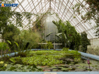 Власти Ставрополья прокомментировали скандал с Ботаническим садом 