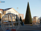 Главная новогодняя елка сегодня зажжет свои огни в центре Ставрополя