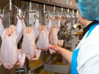 Ставропольское мясо птицы экспортируется в 35 стран мира 