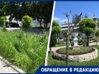 Пятигорский парк «Цветник» готов встречать туристов заросшей травой и голыми деревьями