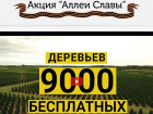 9000 деревьев посадят в Ставрополе, если ставропольцы проголосуют в интернете