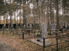В Михайловске за 16 миллионов сделают дорожки на кладбище «Крестовоздвиженское»
