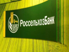 Более 1200 предприятий Ставрополья открыли расчетные счета в Россельхозбанке в 2016 году