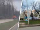 Поваленные деревья и дорожный коллапс: что принес ураганный ветер в Ставрополь