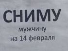 "Сниму мужчину на 14 февраля": находчивая ставропольчанка необычно подошла к выбору партнера на День влюбленных 