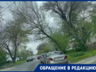 Опасные деревья в центре Ставрополя встревожили автомобилистов