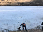 В Ставрополе 12-летний школьник чудом не утонул в Елагином пруду