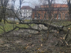 Упавшее дерево, поваленные остановки и обрушение части фасада — последствия непогоды на Ставрополье