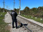 Под колесами грузового поезда погиб мальчик на Ставрополье