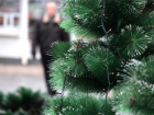 В Кисловодске запретили продавать живые елки