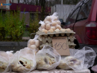 В Ставропольском крае поддержка местных производителей яиц не предусмотрена до 2026 года