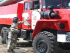 На Ставрополье пожарные защитили коров от огня
