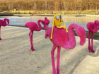 Розовые фламинго за 525 тысяч на «Комсаке» стали локацией для бесплатных фотосессий