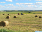 Директор крупного сельхозпредприятия Ставрополья задолжал государству более 11 миллионов рублей.