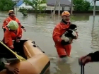 Трогательное спасение собаки в затопленном селе на Ставрополье попало на видео