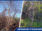 Жители Ставрополя в ужасе из-за вырубки вековых деревьев около «Татарского городища»