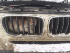 Замёрзнувший из-за снегопада и ветра кот залез на радиатор BMW