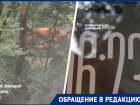 «Мусорят в 4 утра и не дают спать»: жители ставропольской многоэтажки воюют с «Эко-Сити»