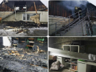 Многодетная семья осталась на улице после пожара в Пятигорске