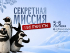 Первый праздник в честь новых жителей на Ферме Альпак пройдет в Ставрополе 5–6 сентября