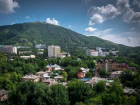 Прокуратура не позволила отдать участок леса под застройку в Пятигорске 