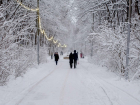 Мокрый снег с дождем и сильный ветер ждут Ставрополь 25 декабря