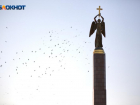Много зелени и ударные темпы застройки: аналитики подготовили статистику для Ставрополя к Дню города