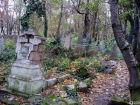 Надоедливые собаки и мертвецы: жители Ставрополя оценили городские кладбища