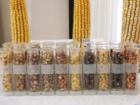 Ставропольские семена успешно вытесняют с рынка импортных коллег