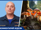 Правилами выживания при сборе грибов на Ставрополье поделился сотрудник МЧС