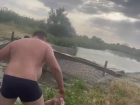 Ловля раков в пруду на Ставрополье закончилась кровавым побоищем