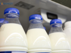 Более 2,4 тонны молочки сняли с продажи на Ставрополье в 2025 году