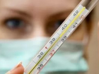 На Ставрополье более 250 человек заболели вирусом свиного гриппа