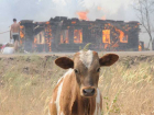 Праздничные шашлыки стали причиной пожара в Ставрополе