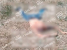 Тело мужчины без головы нашли на обочине в Ставропольском крае