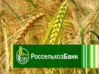 Россельхозбанк направил на финансирование сезонных работ на Ставрополье около 3 млрд рублей в 2016 году