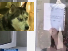 Меня оговорили: фото в интернете были не из моих вольеров, - вызвавшая гнев зоозащитников хозяйка собак в Ставрополе