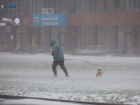 Мокрый снег и ураган ожидает ставропольцев в ближайшие дни