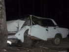 Водитель «семерки» врезался в дерево при обгоне на ночной трассе в Ставропольском крае, - пострадал он и его мать