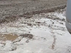 Жители улицы Кирова в Невинномысске тонут в грязи из-за работ на птицекомбинате