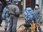 Бомбу искали в кафе-баре Кисловодска