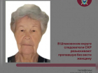 Пропавшую три дня назад 75-летняя пенсионерку продолжают искать на Ставрополье