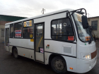 19 новых автобусов выйдут на маршрут №20 в Ставрополе