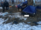 Двое погибли в страшном столкновении автомобиля с деревом на Ставрополье